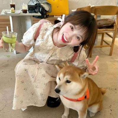 春满花都